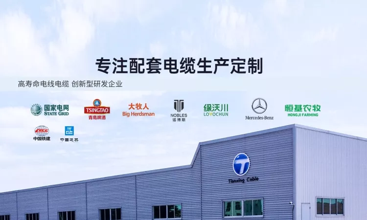 青岛天行电缆有限公司